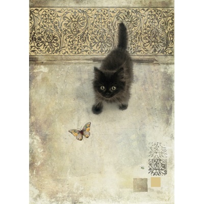 Přání do obálky Bug Art - Black Kitten