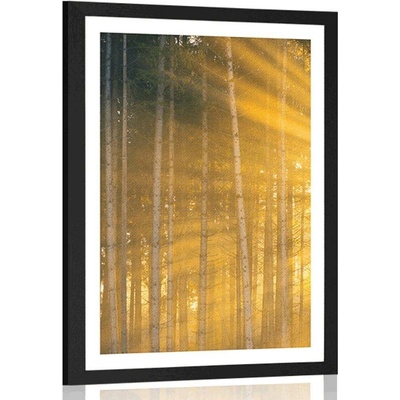 Plakát s paspartou slunce za stromy - 30x45 black