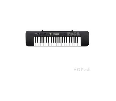 Casio CTK 240