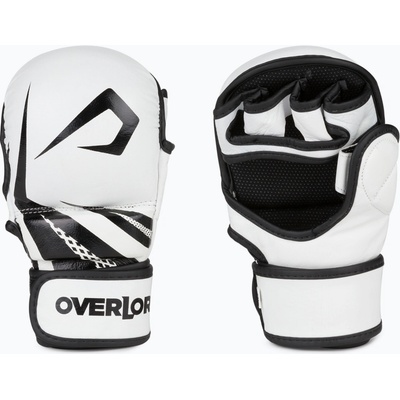 Overlord Sparring MMA grappling