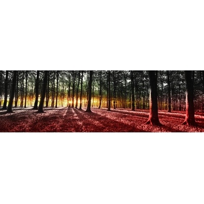 Preinterier FT4033 Fototapeta na stenu Slnko prenikajúce lesom vlies 620cm x 219cm