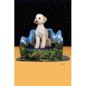 United Pets Легло за домашен любимец New York x Seletti (SE5102NY)