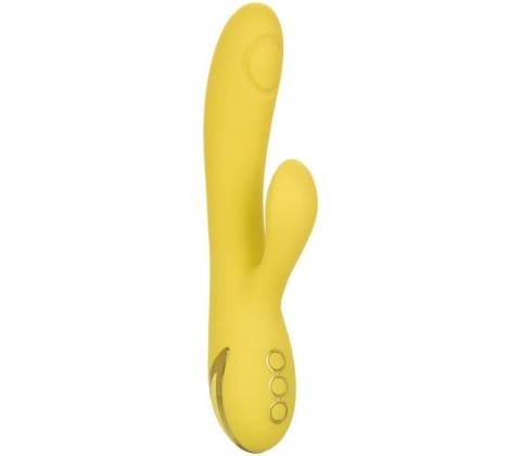 Calex San Diego Seduction