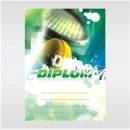 Diplom 6620
