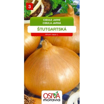 Semínka Cibule jarní Štutgartská (Allium cepa L.)
