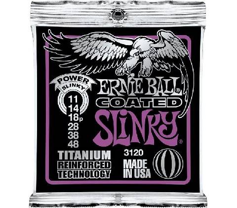 Ernie Ball 3120