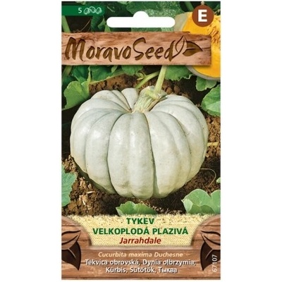 Tekvica plazivá JARRAHDALE 67107