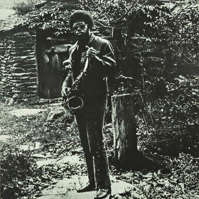 MCPHEE JOE: NATION TIME, LP