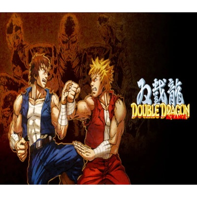 Double Dragon Advance