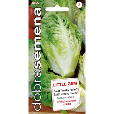 Šalát Little gem rímsky DS 3855