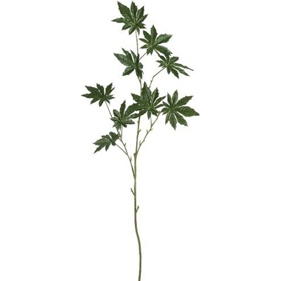 Okrasný list Papaya - 122cm - J-Line by Jolipa