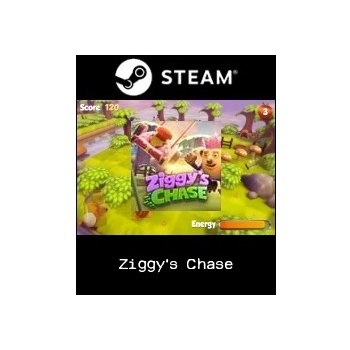 Ziggy's Chase