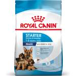 Royal Canin Maxi Starter Mother&Babydog 15 кг суха храна за бременни и кърмещи кучки и кученца на възраст от 4 до 8 седмици, големи породи