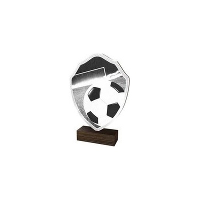 Poháry Bauer Dřevěná plaketa TFRW003 Fotbal
