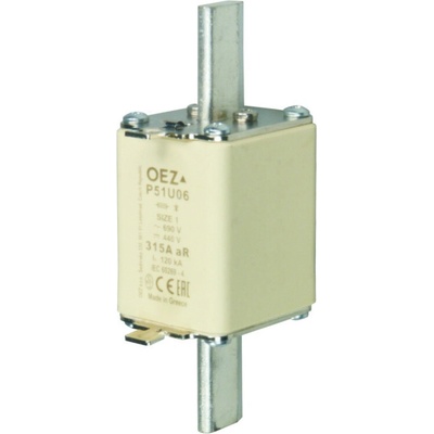 OEZ LETOHRAD OEZ Pojistková vložka pro jištění polovodičů,P51U06 100A aR OEZ:10560