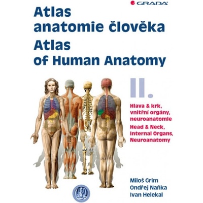 Atlas anatomie člověka II.
