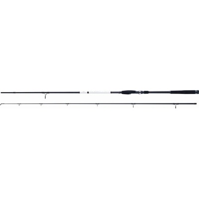 WFT XK BONE PRO SHAD 2,7 m 15-78 g 2 diely