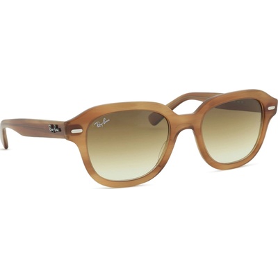 Ray-Ban Erik RB4398 140351 51