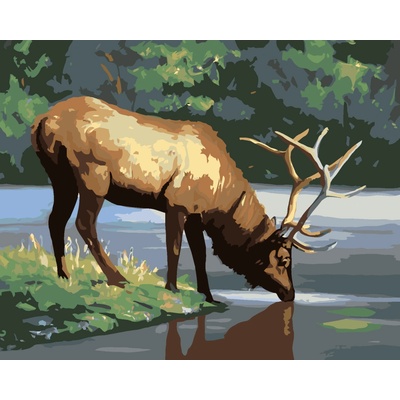 ZUTY Malování podle čísel LOS U VODY D RUSTY RUST Rozměr 40 x 50 cm Rámování vypnuté plátno na rám