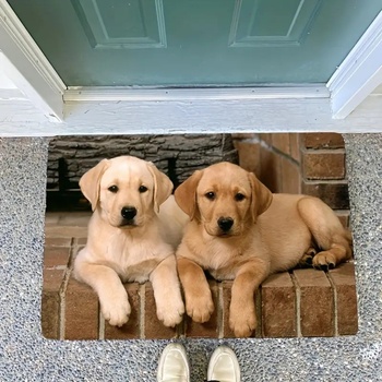 Zolux Podložka pro psy pod misku pejsci L