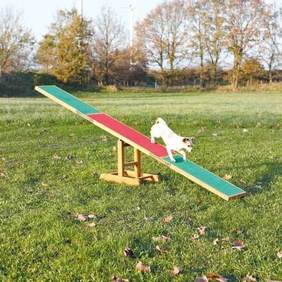 Agility prekážka pre psov, hojdačka 300x34x54cm