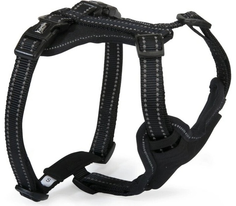 CAMON POSTROJ PRO PSY