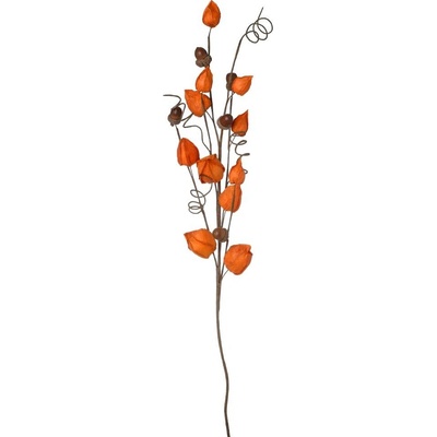 VETVIČKA PHYSALIS, ŽALUĎ OR/ZE/HN 70*25*6CM