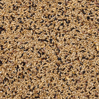 Deli Nature 55 Canaries Supreme 4 kg