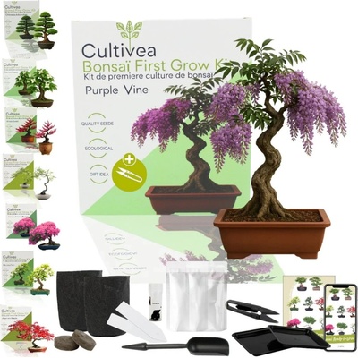 Cultivea Bonsai sada "Purple Vine“ - 1 sada