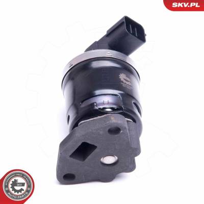 AGR - Ventil ESEN SKV 14SKV210