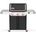WEBER Genesis EX-325W