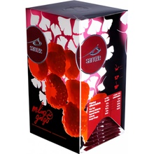 Santée Čaj Malina Ginkgo 20 x 2,5 g