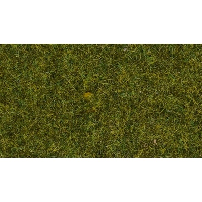 Noch Statická tráva Louka 4 mm – Zboží Dáma