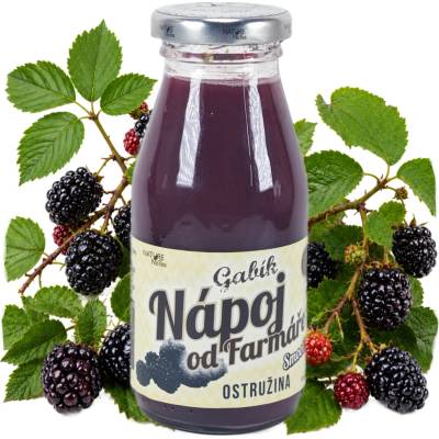 Nature NoTea Smoothie Gabík Ostružina 200 ml