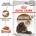 Royal Canin Ageing +12 пауч за котки над 12 години 85gr