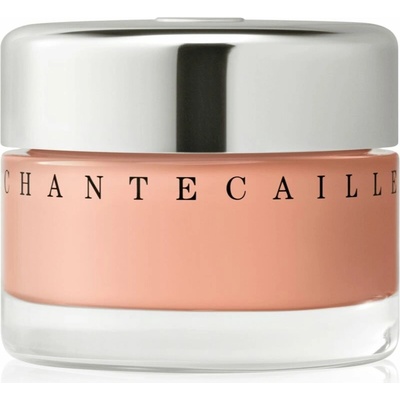 Chantecaille Future Skin Gel Foundation make-up almond 4C 30 g