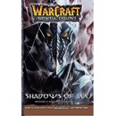 WarCraft: The Sunwell Trilogy #2: Shadows of Ice Knaak Richard A.Paperback