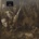 EMPEROR - IX EQUILIBRIUM LP