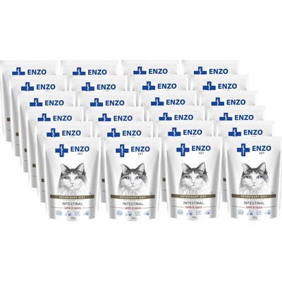 Enzo Vet Intestinal s jahňacím v omáčke 24 x 100 g