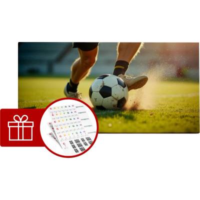 DISK Art Akustický obraz - Fotbal (120 x 60 x 8)