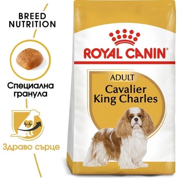 Royal Canin Cavalier King Charles Adult - за кучета Кавалер Кинг Чарлз на въраст над 10 месеца 1.5кг