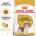 Royal Canin Cavalier King Charles Adult - за кучета Кавалер Кинг Чарлз на въраст над 10 месеца 1.5кг