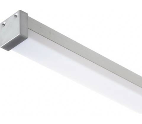 RENDL R13866