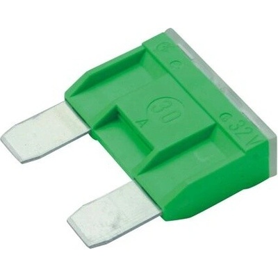 Pojistka BOSCH 1 987 529 019 (1987529019)