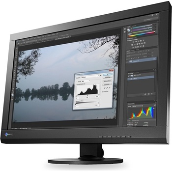 Eizo CS240