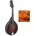 Stagg M50 E