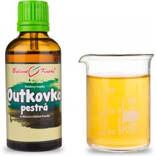 Bylinné kapky Outkovka pestrá Coriolus bylinné kvapky tinktúra 50 ml