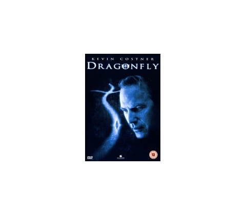 Dragon fly