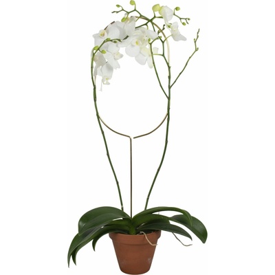 Botanopia Opora pre rastliny - Arch