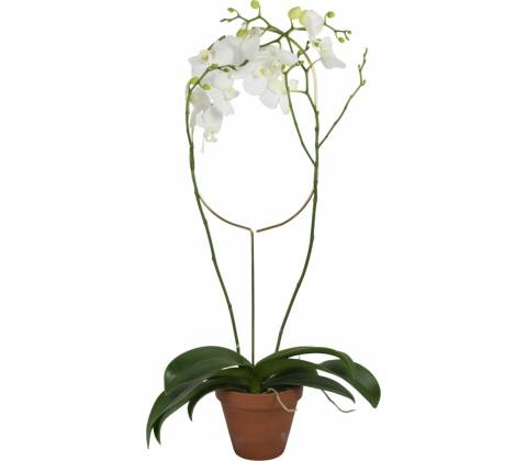 Botanopia Opora pre rastliny - Arch